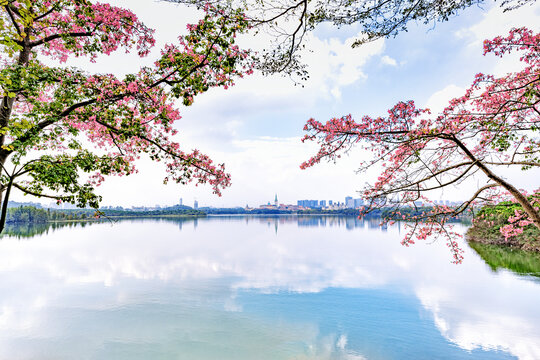 春暖花开