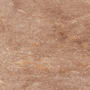 棕色奢石化石纹理大理石