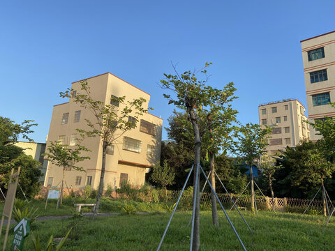 广州市白云区草庄村