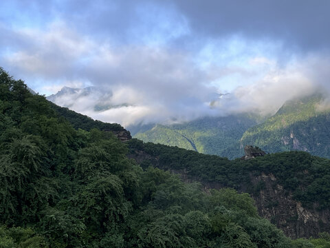 高山云海