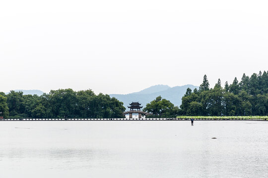 曲院风荷