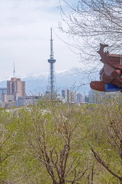 乌鲁木齐铁塔风景