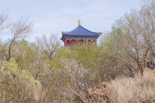 楼阁风景