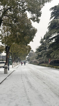 雪天道路