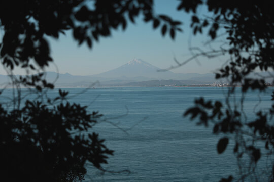 富士山和海洋