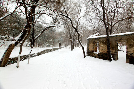 雪后山林