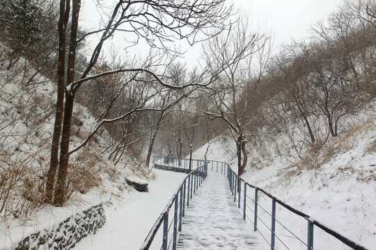 雪后山林