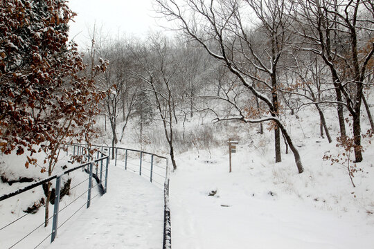 雪后山林