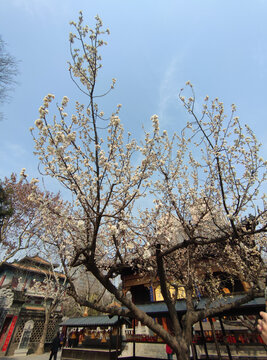 西安城市风景