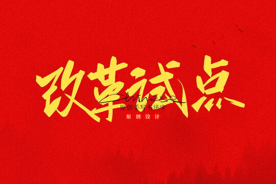 改革試點(diǎn)
