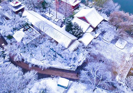 雪景