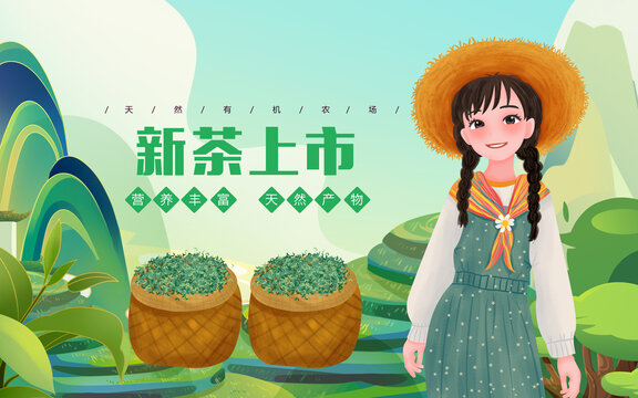 新春茶叶上市女孩插画