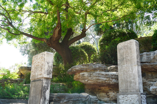 景山公园崇祯自缢处