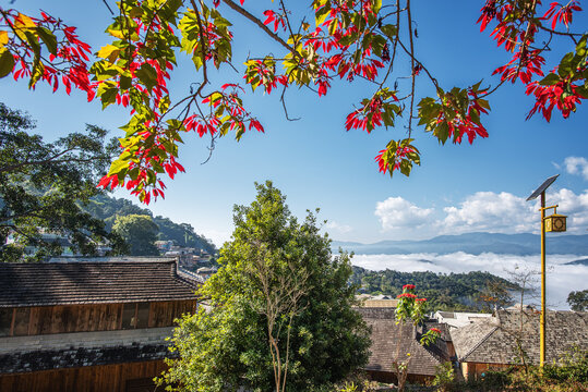 云南景迈山古寨建筑自然风光