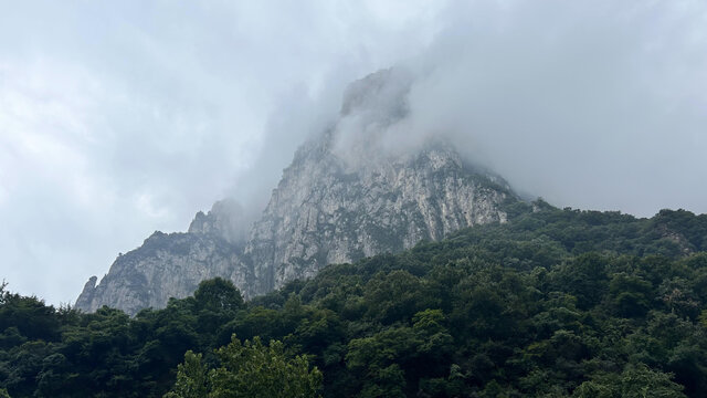 森林高山石头