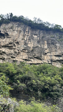 森林高山石头