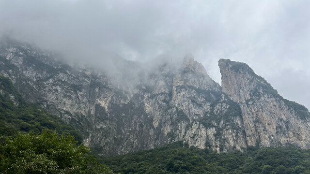 森林高山石头