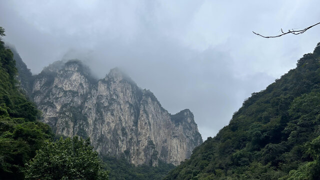 山水风景深林高山