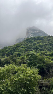 山水风景深林高山