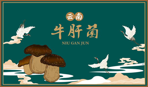 牛肝菌禮盒