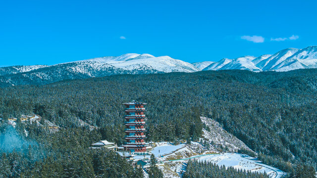 雪落焉支山