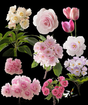 粉色花藝素材