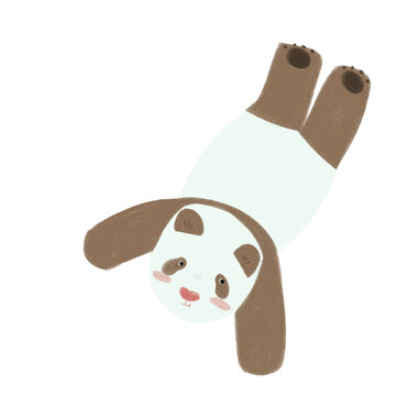 Panda1熊貓