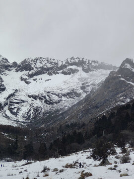 雾与雪山