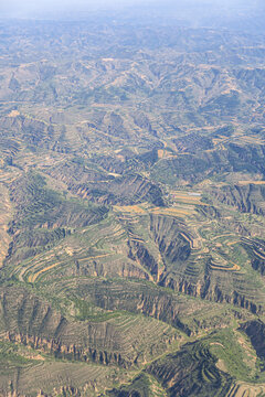 黄土高原荒山绿化