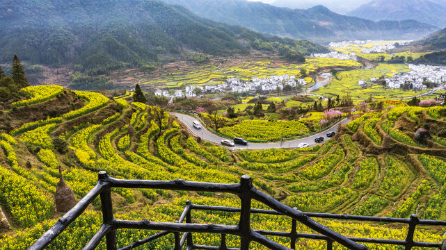 江岭油菜花梯田