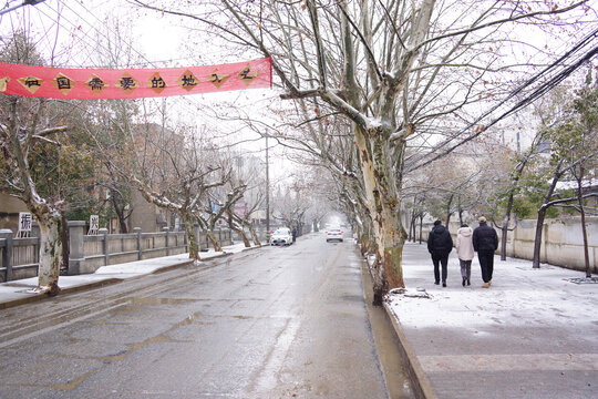 落雪街道