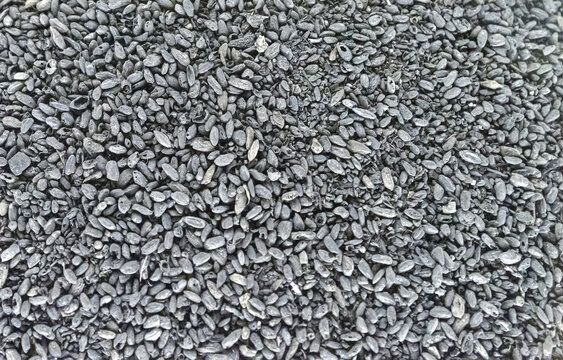 碳化米粒