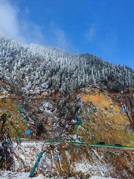 冬季雪景