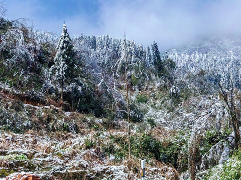 冰天雪地