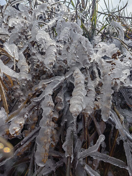 冰雪雾凇