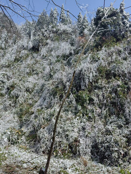 雪景