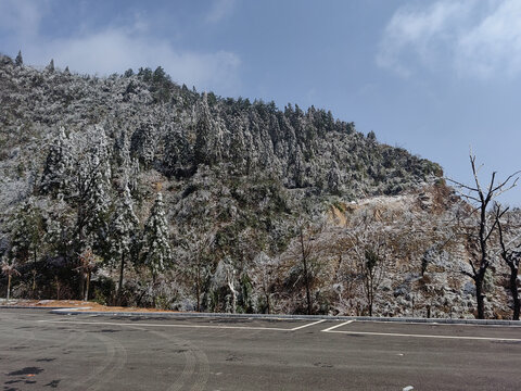 冬季雪景