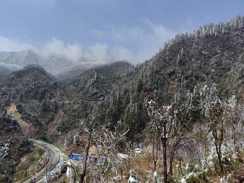 森林雪景