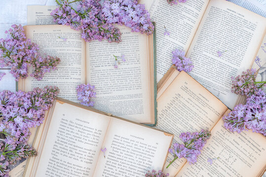 紫丁香与旧书