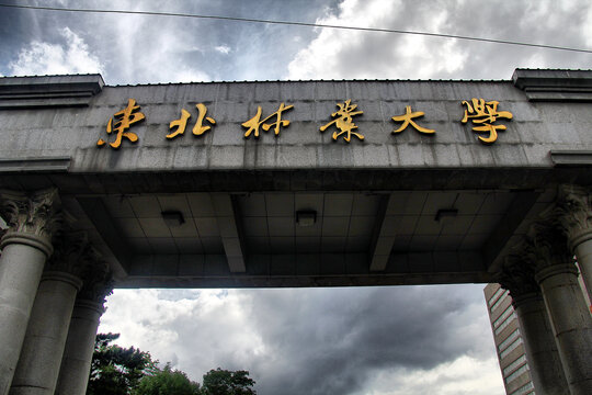 东北林业大学大门