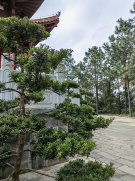 遂溪孔圣山