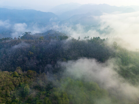 千岛湖森林和云海风光