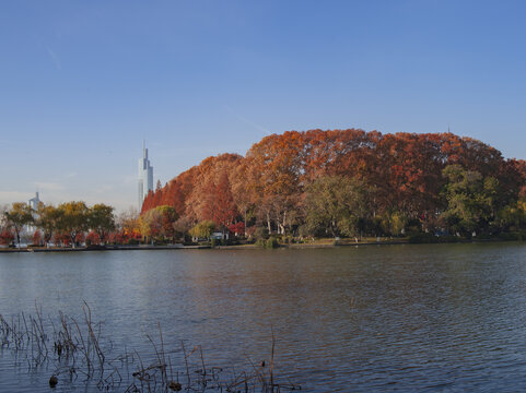 秋天的玄武湖