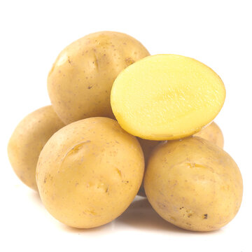 黄心小土豆
