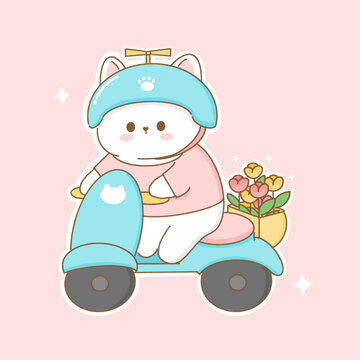 送快遞的小貓