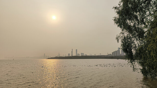 深圳湾日落前景色