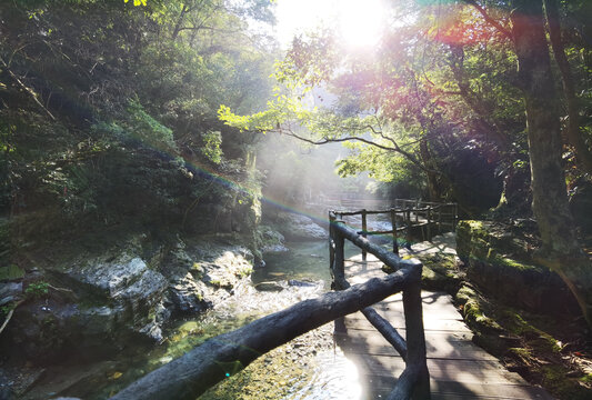 大山村