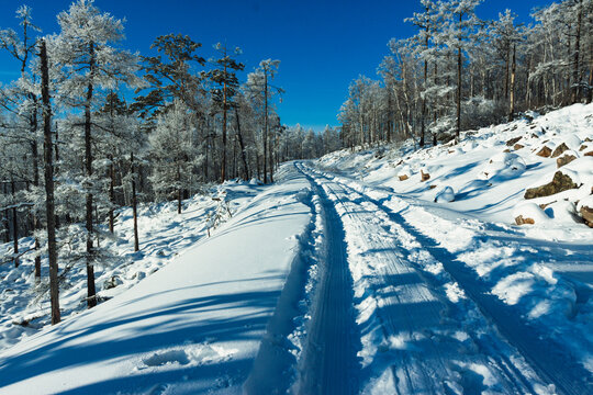 冬季森林积雪道路车辙