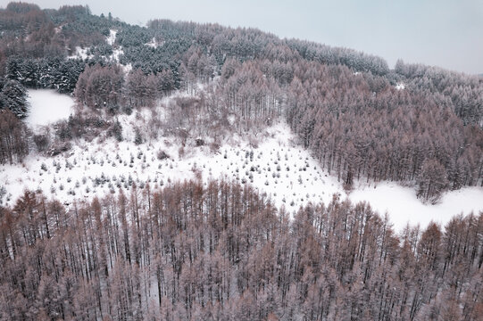 吉林松岭雪村冬季东北农村雪景