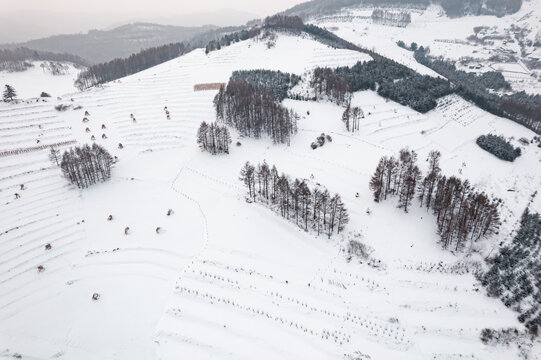 吉林松岭雪村冬季东北农村雪景